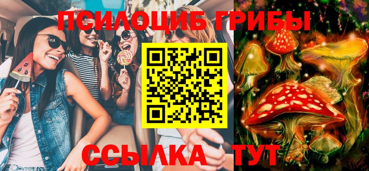 где купить наркоту  Галлюциногенные грибы MAGIC MUSHROOMS  Нерюнгри  Вход с VPN  Галлюциногенные грибы прущие грибы 
