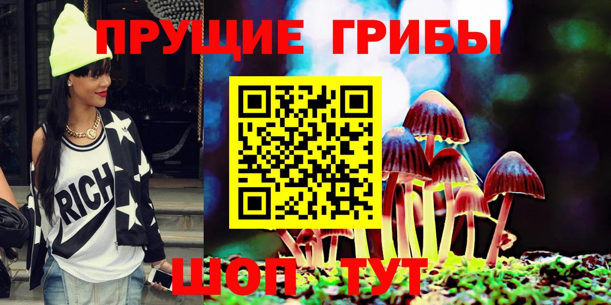 Галлюциногенные грибы Psilocybe Нерюнгри